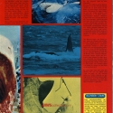 GermanPosterMag2