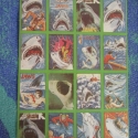 SingaporeCards1