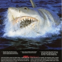 UKarticle4
