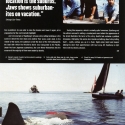 UKarticle6