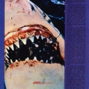 australiajawspostermag