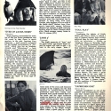 FilmBulletinSummer782