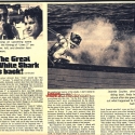 GlobeDemocratJuly2319783