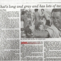 NEWSDAYspring19781