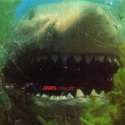 Newsweekmagjaws2