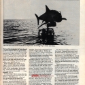 USjaws2-2