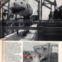 USjaws2-4