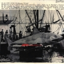 orignewspaperglossypic