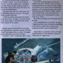 jawsfestguide6