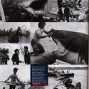 Bostonmag6