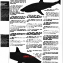 capecodtimesjune172000-6