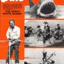 025rareflyer1