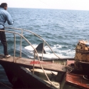 jawspromophoto2