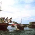 jawspromophoto3