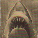 orig1975ad