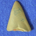 045tooth1