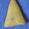 046tooth2