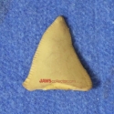 047tooth3