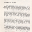 069researchbook4