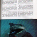 078jawsnat5