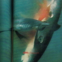 079jawsnat6