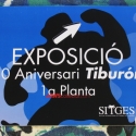 12sitgessign