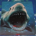 brucecomingatyaposter