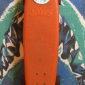 skateboard1