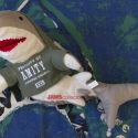 UniflAmityShark