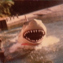 unica78jaws1
