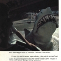 unicabook