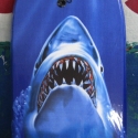 BoogeyBoard2009