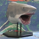 McPheeBruceHead1