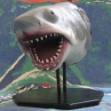 McPheeBruceHead2