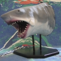 McPheeBruceHead3