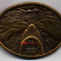beltbuck2