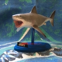 billwiegerBruce1