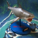 billwiegerBruce2