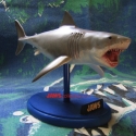 billwiegerBruce8