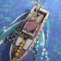 orca9