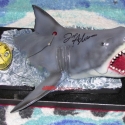 patshark1