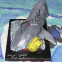 patshark3